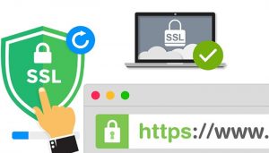 SSL/TLS là gì? Top 10 nhà cung cấp chứng chỉ số SSL/TLS