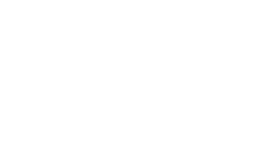 dzr-web