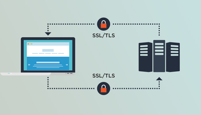 Khái niệm chứng chỉ số SSL/TLS là gì?