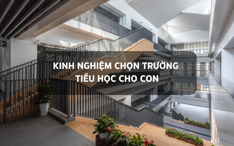 chọn trường tiểu học cho con
