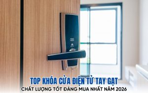 khóa điện tử tay gạt