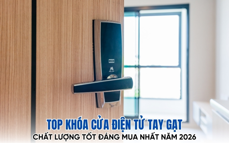 khóa điện tử tay gạt